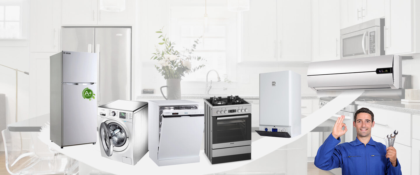 Bor Electrolux Servisi